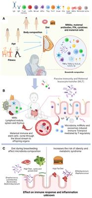 Breastfeeding Contributes to Physiological Immune Programming in the Newborn